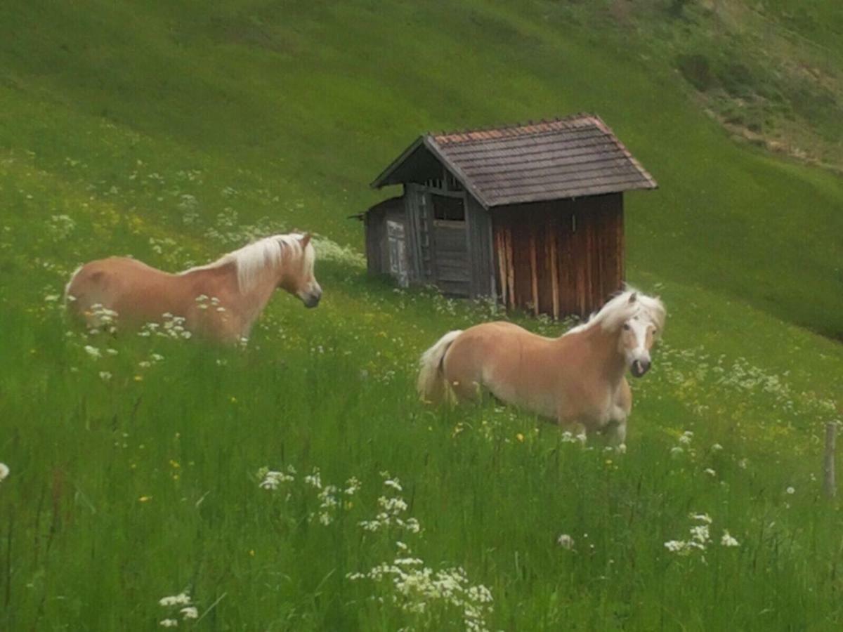 Apart.Pitztal 阿泽皮茨陶 外观 照片